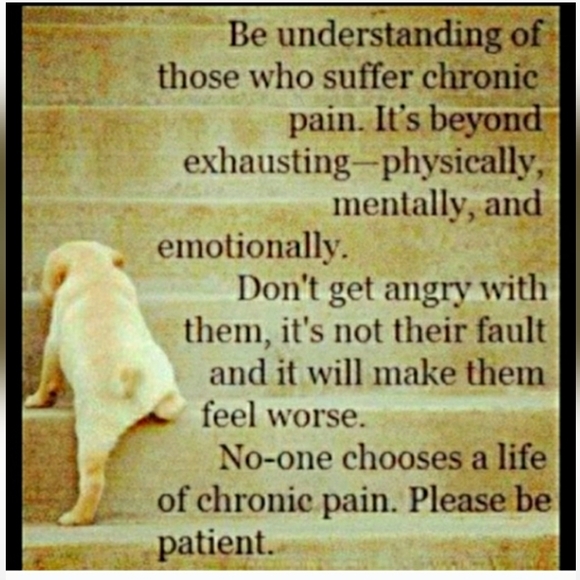 🦅  Native American Shaped Puzzle  HOME of the BRAVE 🦅  750 Piece - Picture 11 of 16